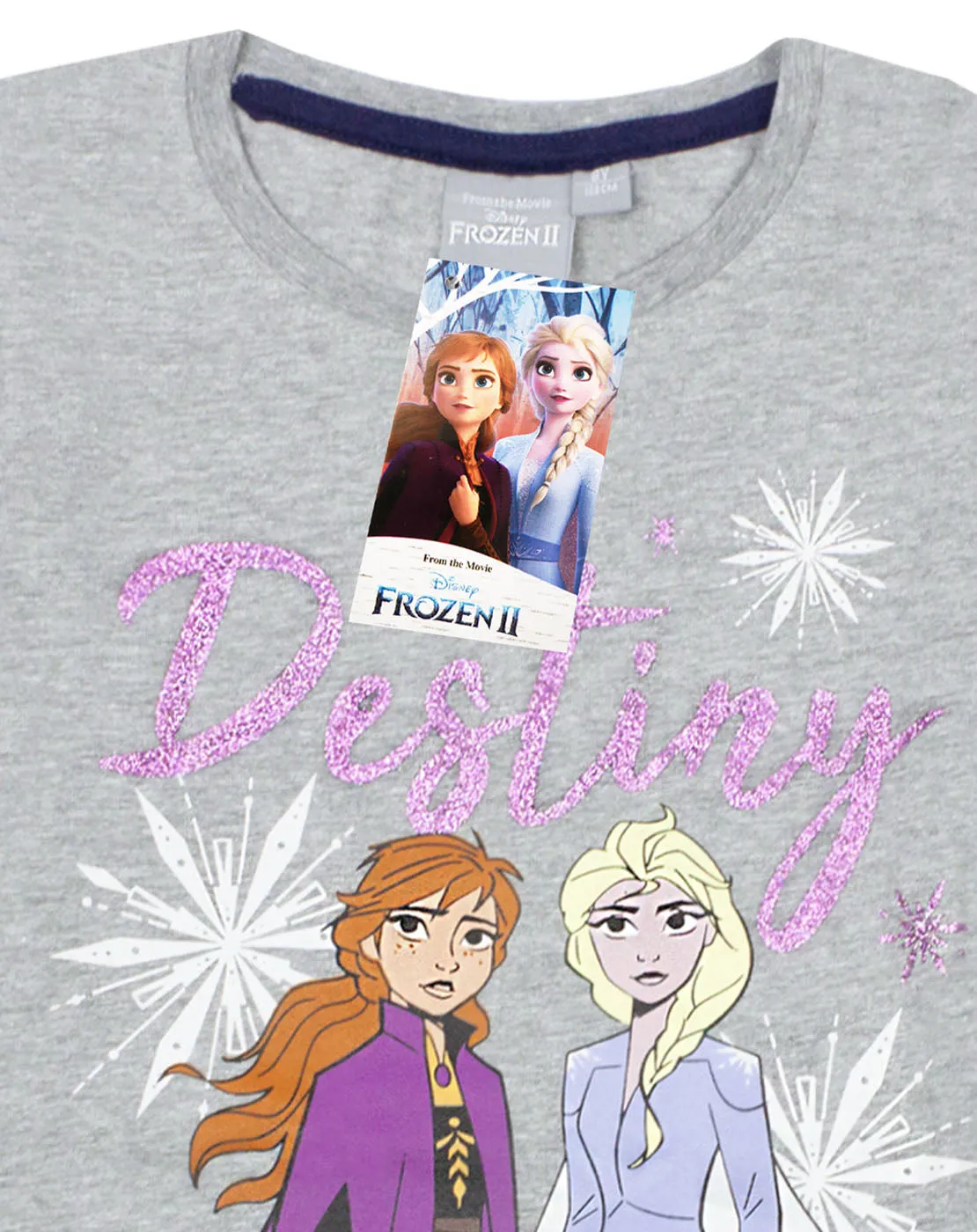 Disney Frozen 2 Elsa & Anna "Destiny Awaits" Girl's Novelty Character Top