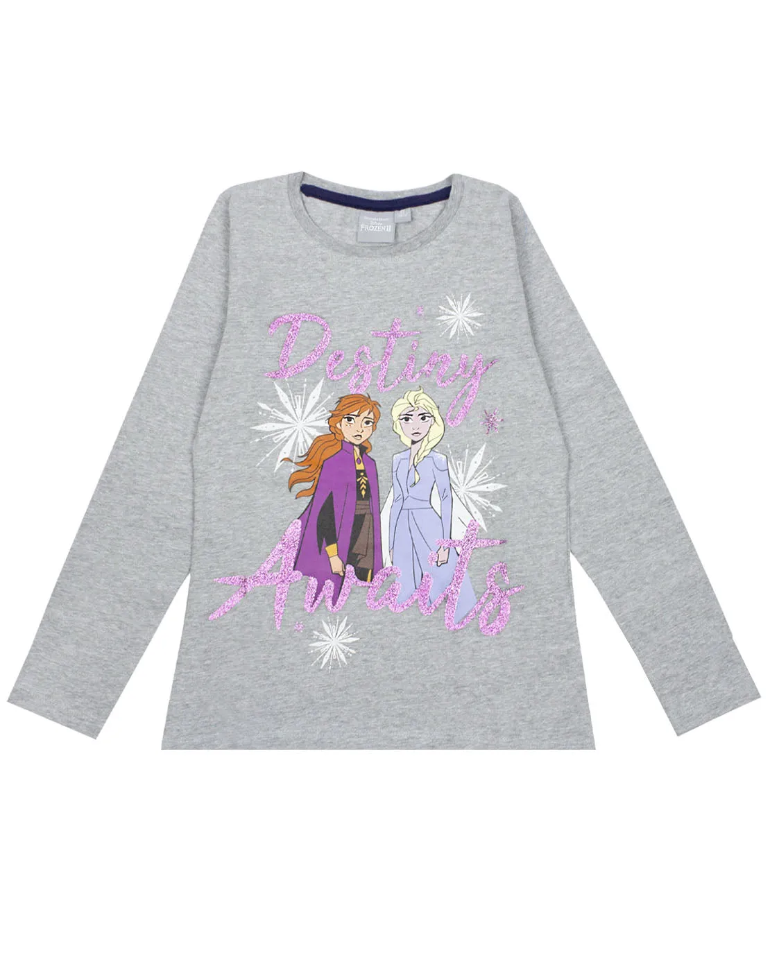 Disney Frozen 2 Elsa & Anna "Destiny Awaits" Girl's Novelty Character Top