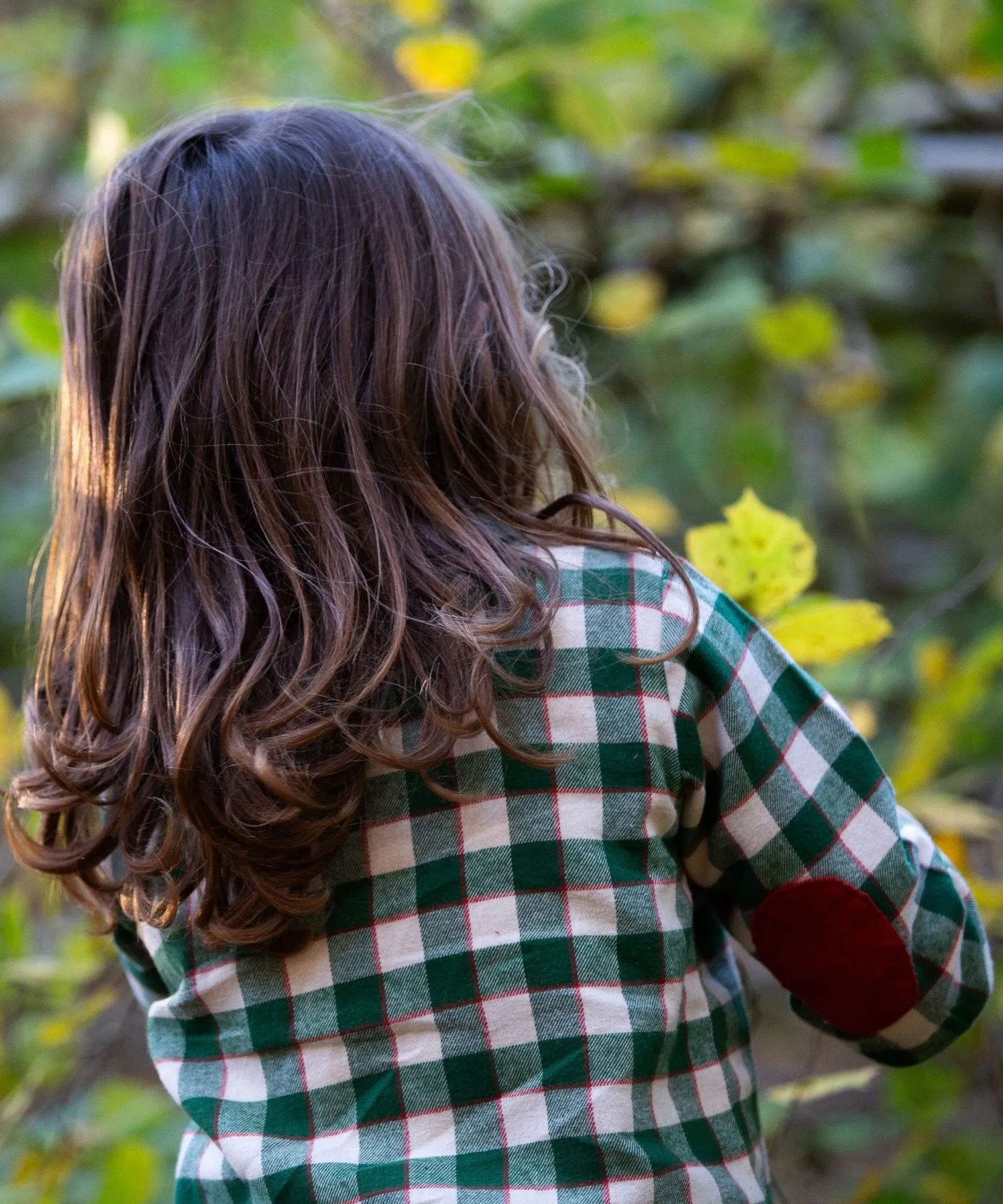 LGR Check Long Sleeve Shirt - Fern Green