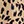 Mini Leopard Flared Jumpsuit
