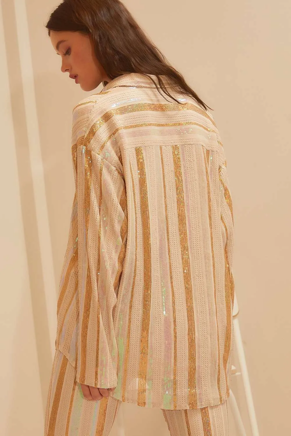 Neutral Stripe Sequin Formal Top