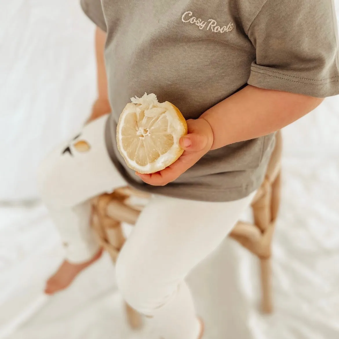 Organic T-Shirt - Khaki - S A L E